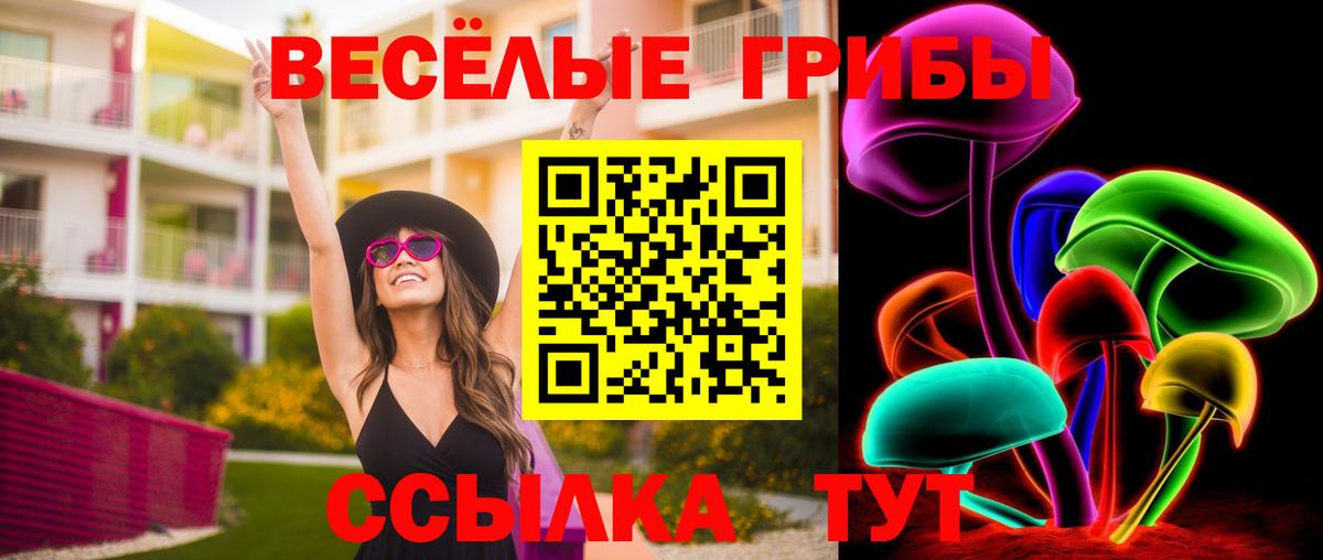 Галлюциногенные грибы GOLDEN TEACHER Нурлат